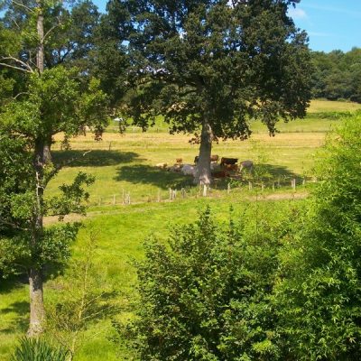 PENTAX DIGITAL CAMERA